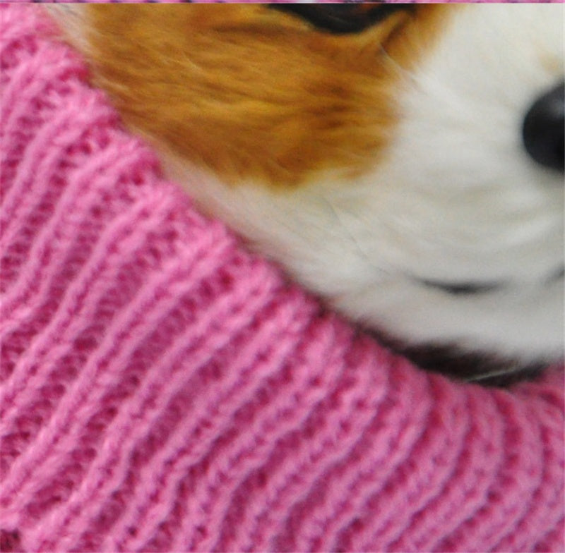 Keep Your Pet Cozy with Our Comfortable Pet Sweater Collection